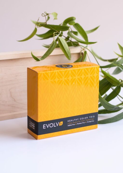 Healthy Color Trip from Evolvh Hair Care front of box